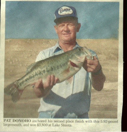 Pat Donoho